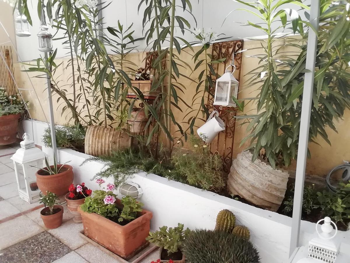 Amazing Semi-Basement Art Apartment Easy Walk To Nafplio Centre Exteriér fotografie